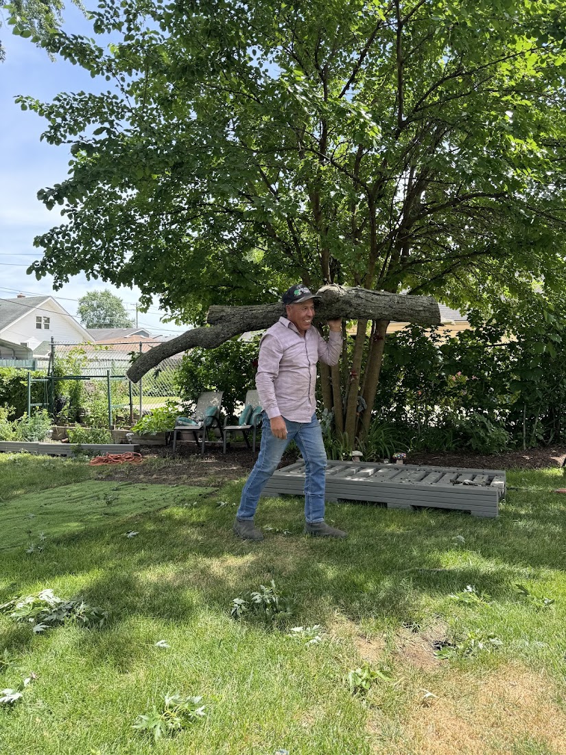 Tree Service project