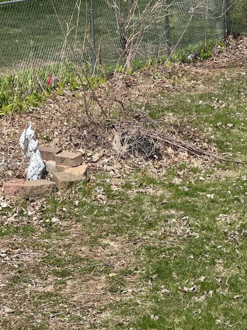 Tree Service project