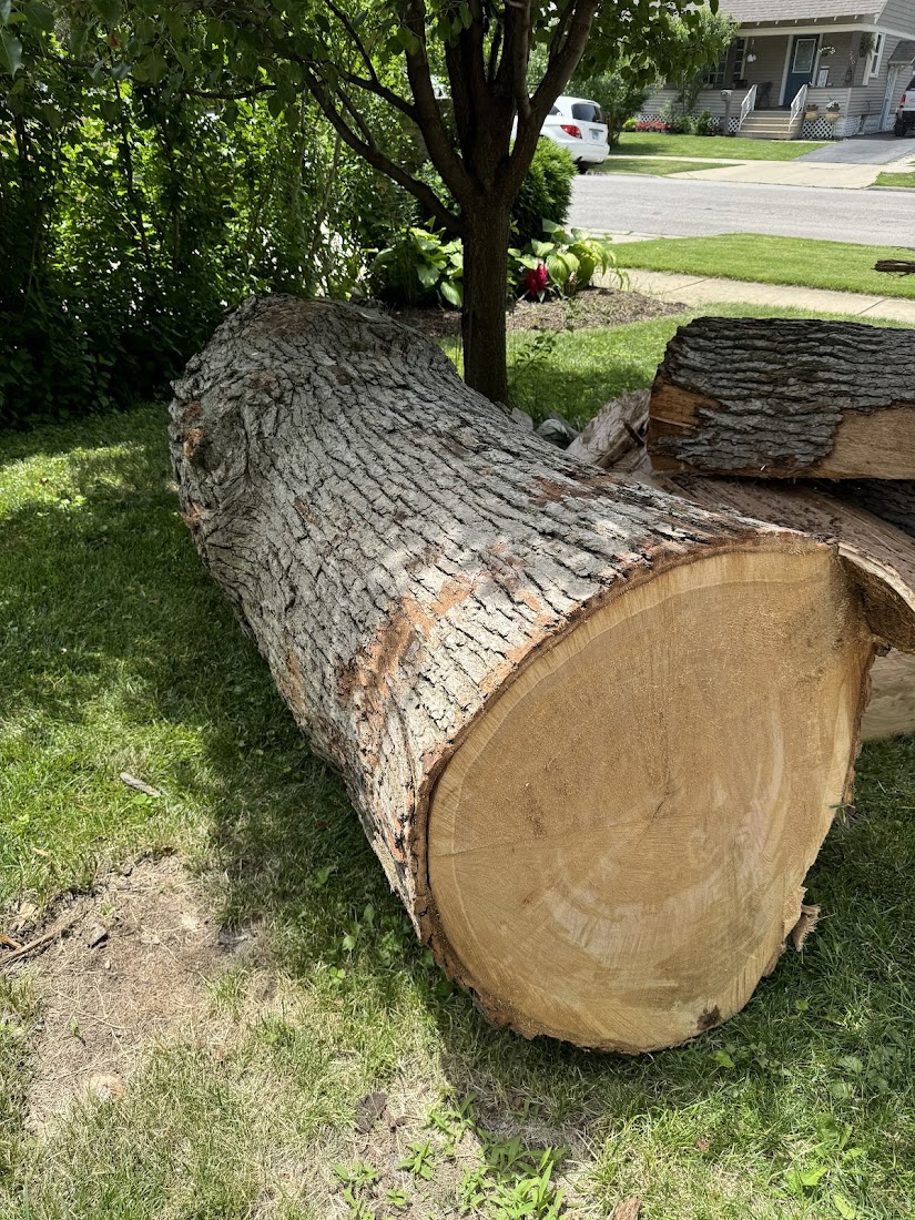 Tree Service project