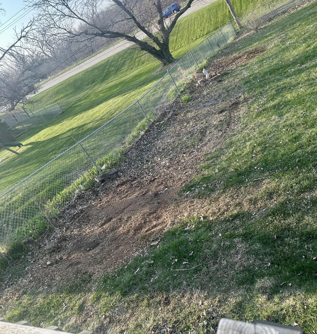 Tree Service project