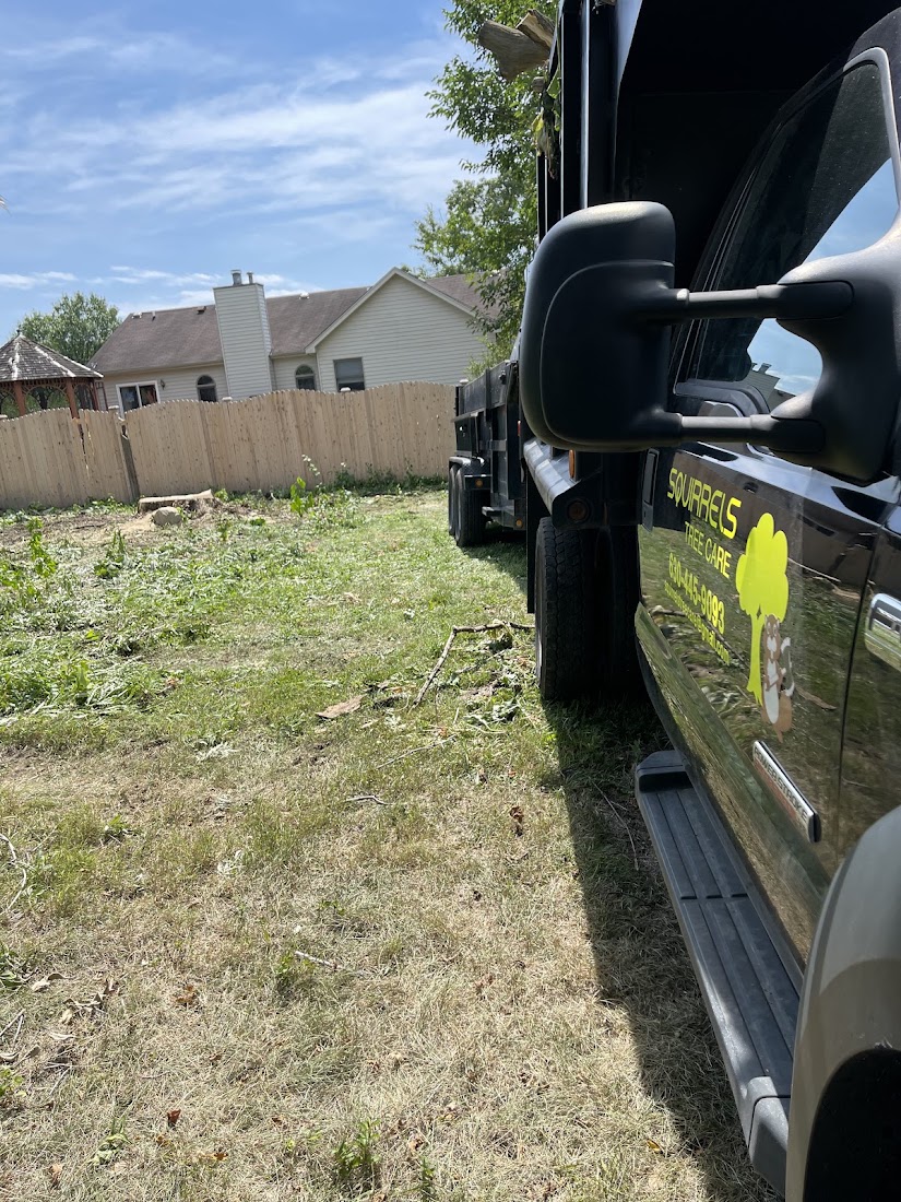 Tree Service project